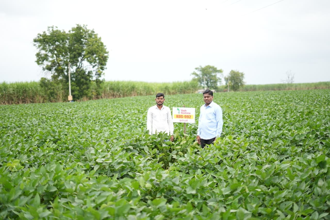 Seeds gallery image 1