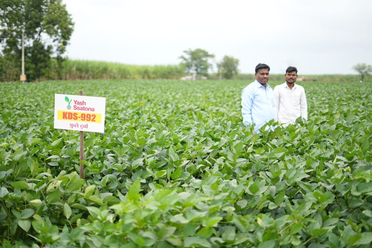 Seeds gallery image 2