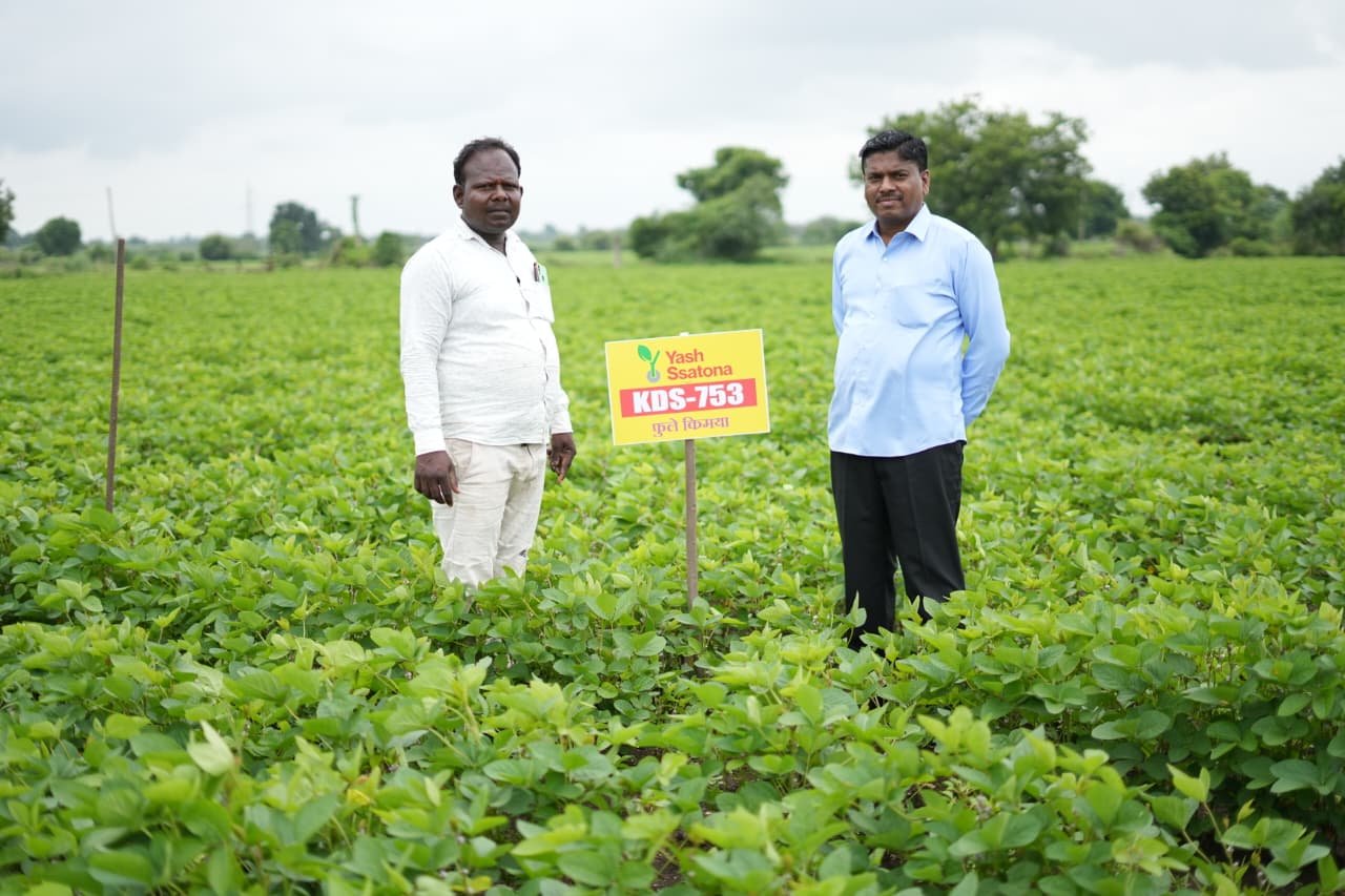 Seeds gallery image 22