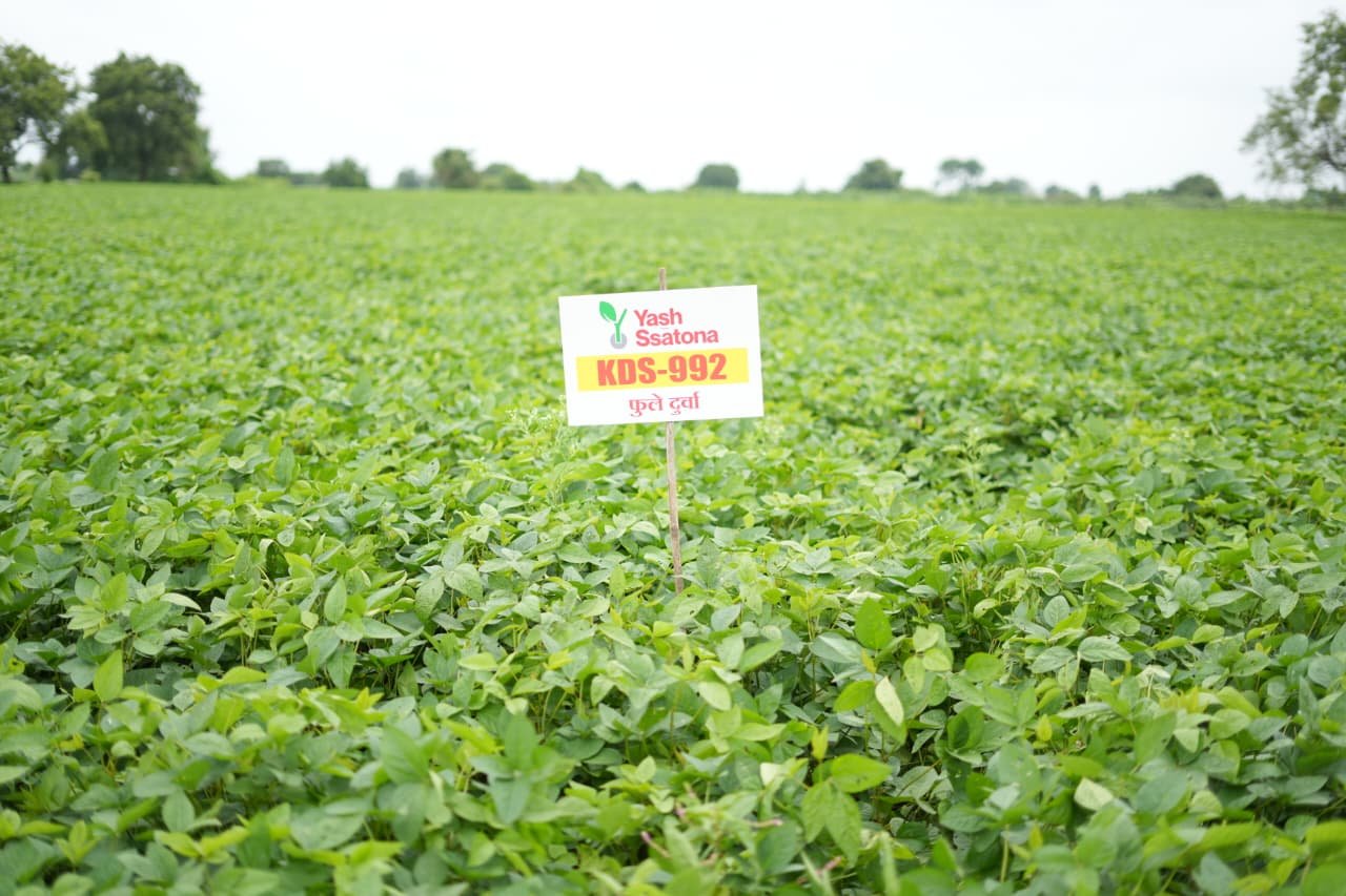 Farmers harvesting crops