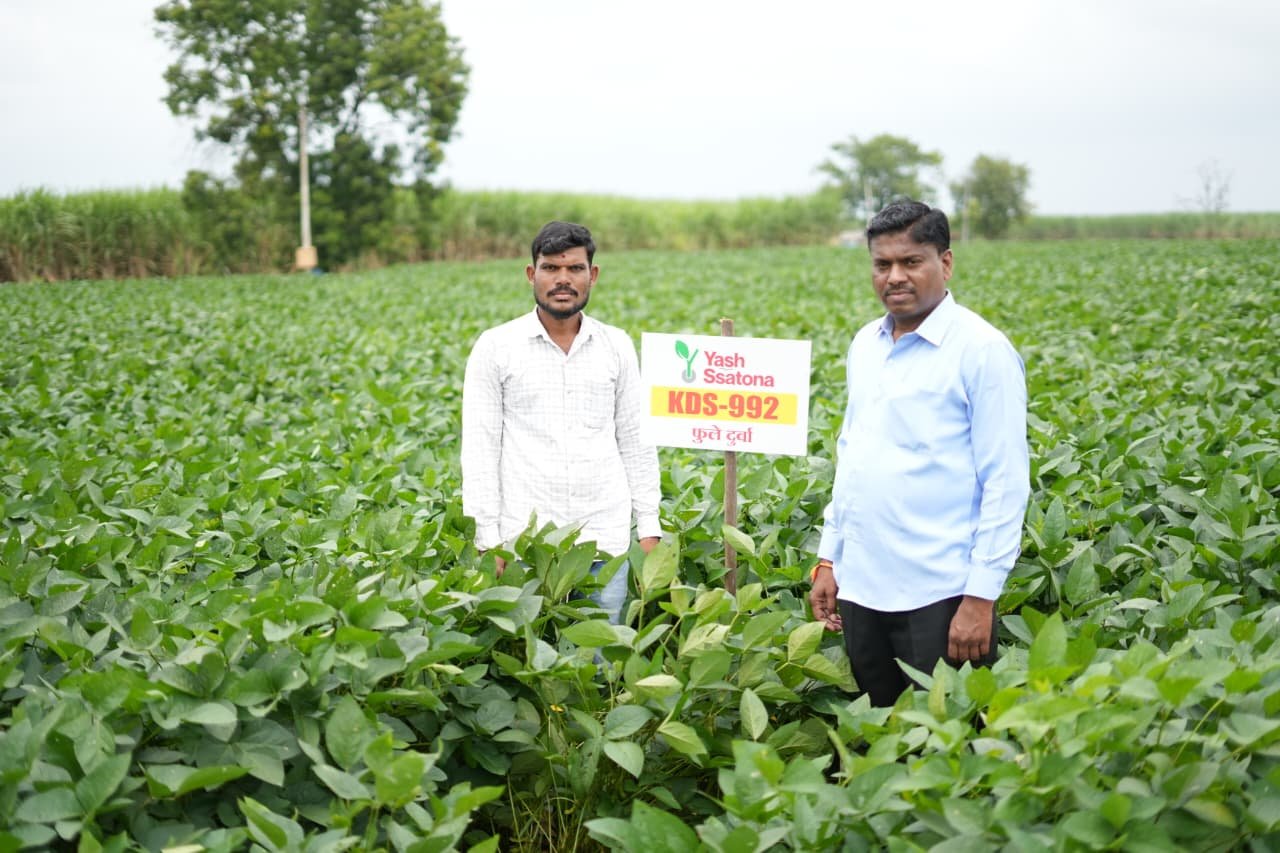 Field ready for sowing